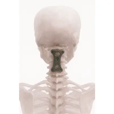 Spinal