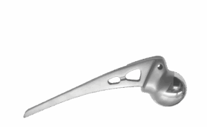 austin moore Broad stem