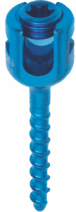 Monoaxial Pedicle Screw with Inner Screw
