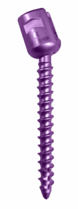 Polyaxial Pedicle Screw with Inner Screw