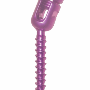 Polyaxial Reduction Pedicle Screw with Inner Screw