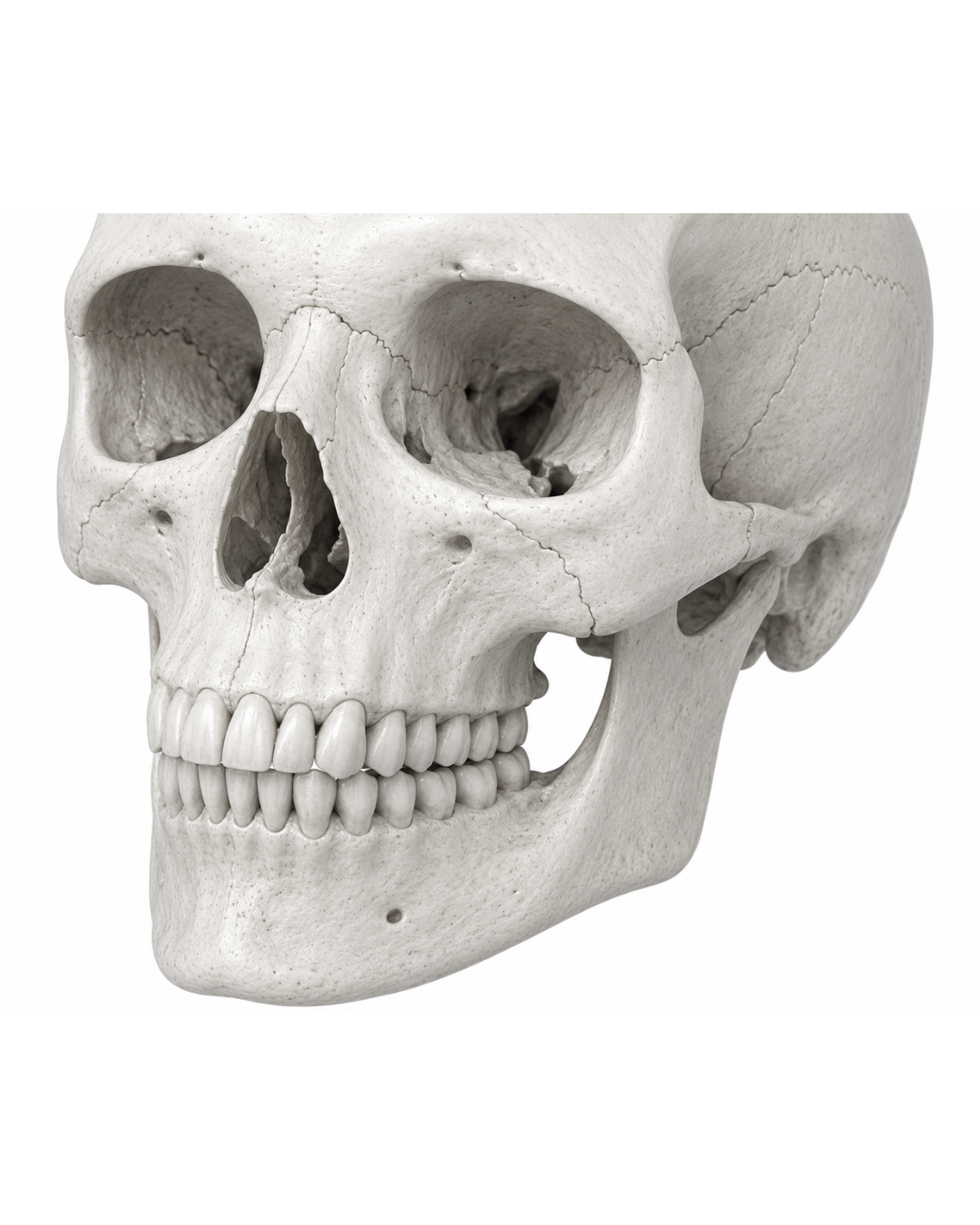 Midface System